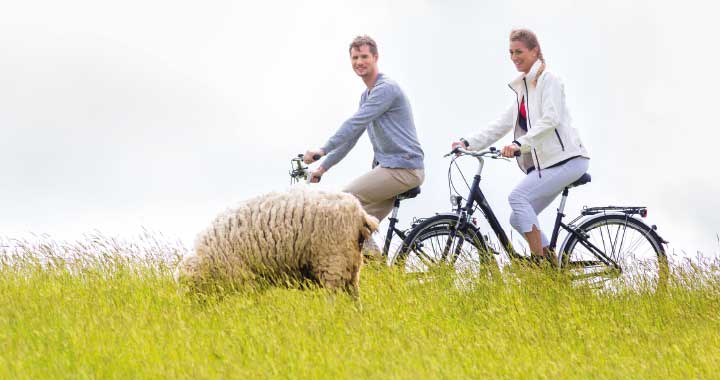 Insel Borkum Fahrradverleih