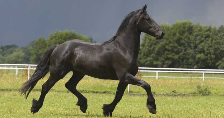 Informationen Insel Borkum 1 – 6