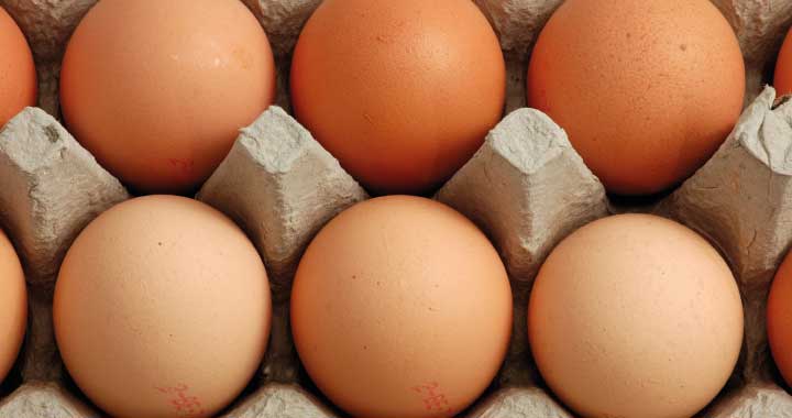 Informationen Insel Borkum 1 – 6