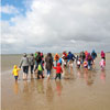 Insel Borkum Wattwandern