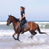 Insel Borkum Reiten