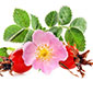 Natur_A_208574272_msk.nina Natur