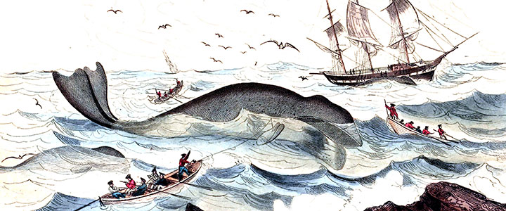 Informationen Insel Borkum 1 – 6