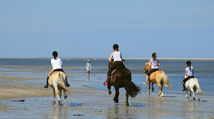 Reiten