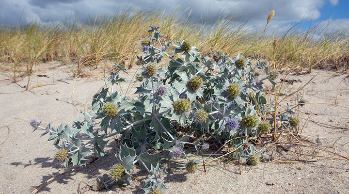 Naturerlebnis_A_472286291_Dietmar Naturerlebnis