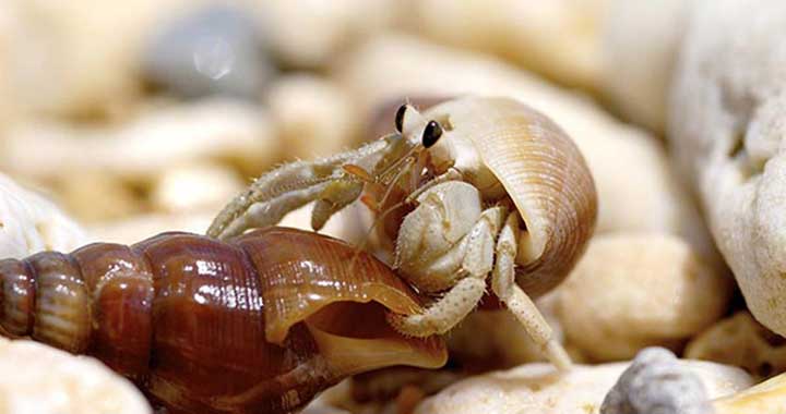 Informationen Insel Borkum 1 – 6