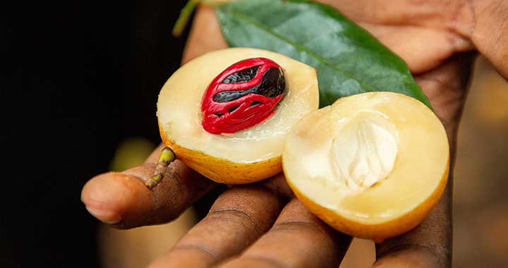 Informationen Insel Borkum 1 – 6